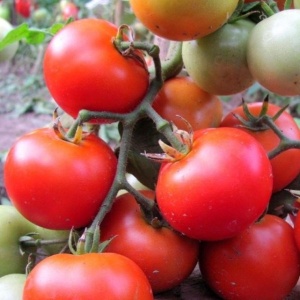 Семена томат Бетта Авторские 0,05г Гавриш