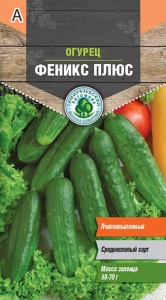 Семена Tim/огурец Феникс плюс среднераннеспелый 0,5г