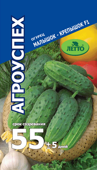 Семена огурец Малышок-Крепышок F1 10шт Агроуспех