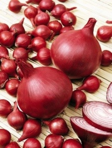 Лук-севок Ред Барон 10-21мм красный Россия 20кг