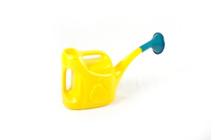 Лейка РАДИАН садовая с рассеивателем пластик 5л