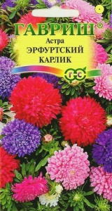 Семена цветов астра Эрфутский карлик смесь окрасок 0,3г Гавриш