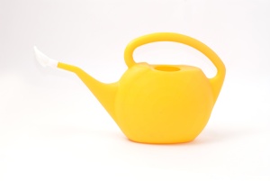 Лейка Полипласт садовая с рассеивателем пластик 3,5л